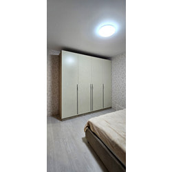 ���� ���������